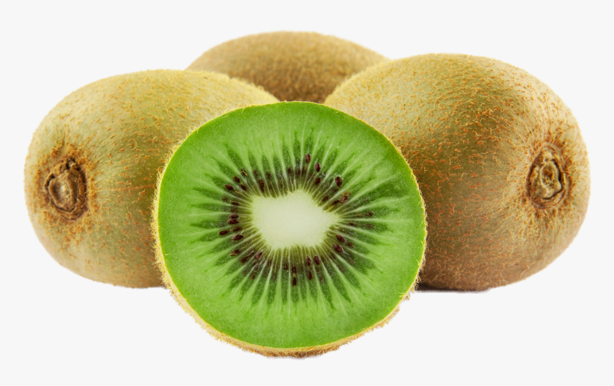 Detail Clipart Kiwi Nomer 41