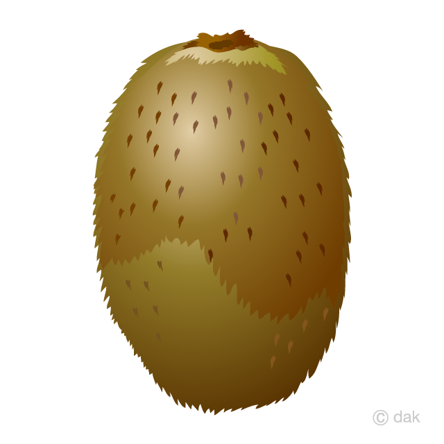 Detail Clipart Kiwi Nomer 42