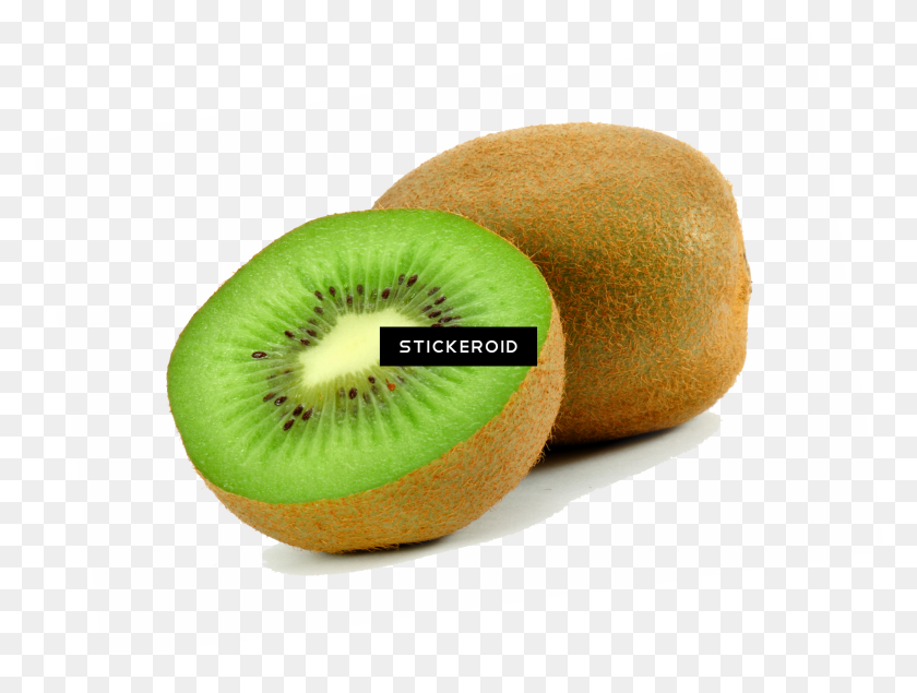 Detail Clipart Kiwi Nomer 43