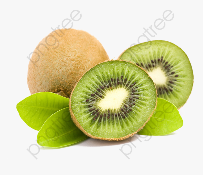 Detail Clipart Kiwi Nomer 44