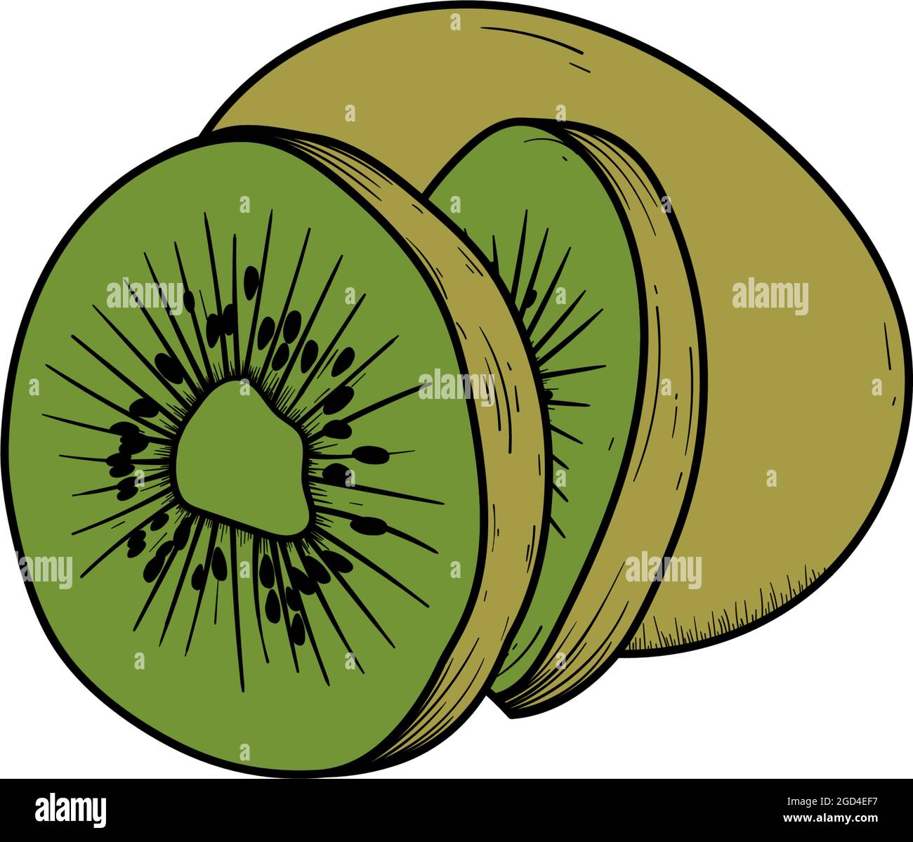 Detail Clipart Kiwi Nomer 45