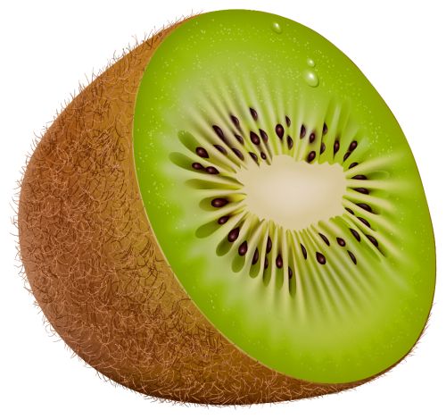 Detail Clipart Kiwi Nomer 4