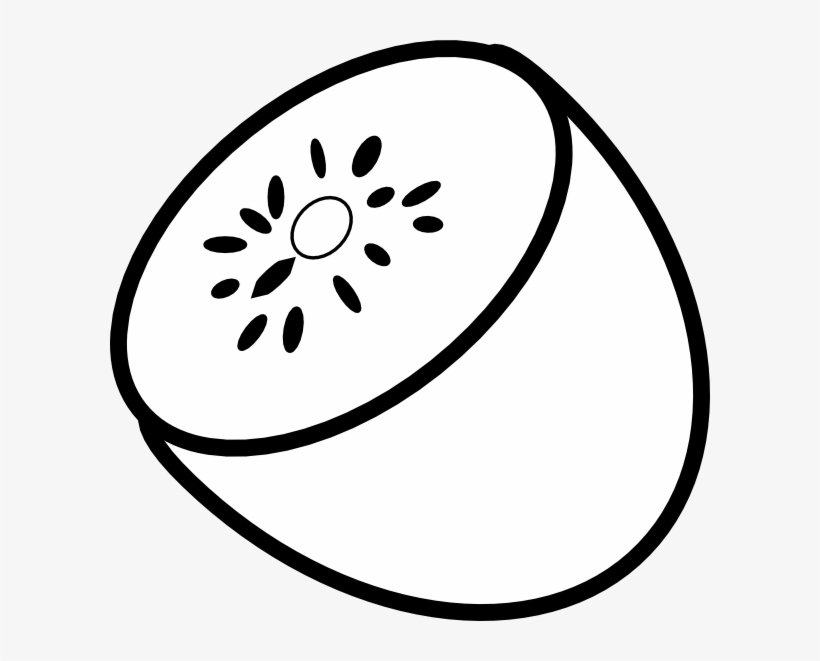 Detail Clipart Kiwi Nomer 50