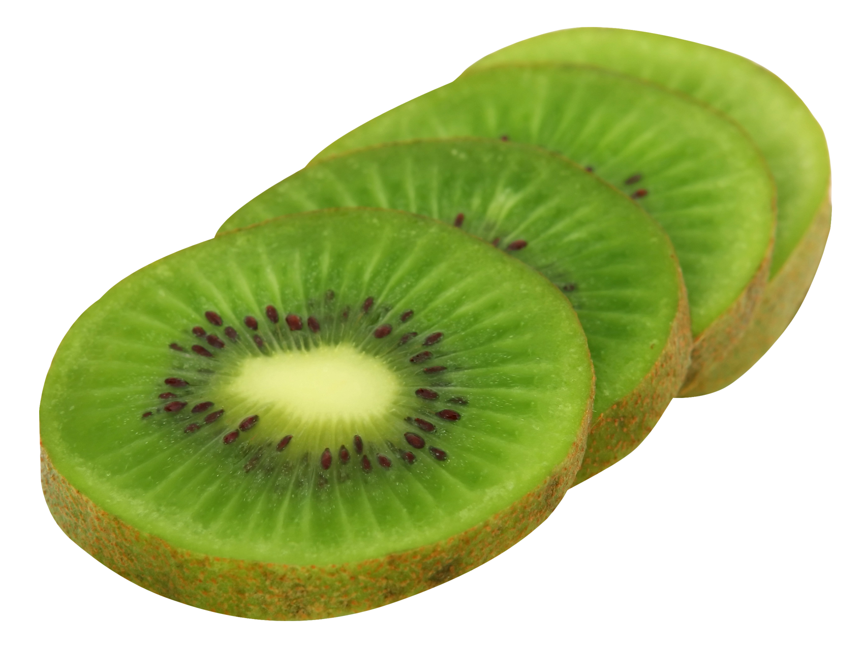 Detail Clipart Kiwi Nomer 51