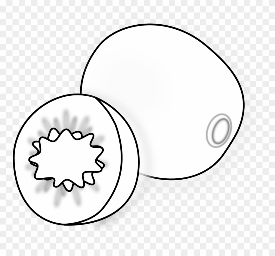 Detail Clipart Kiwi Nomer 53