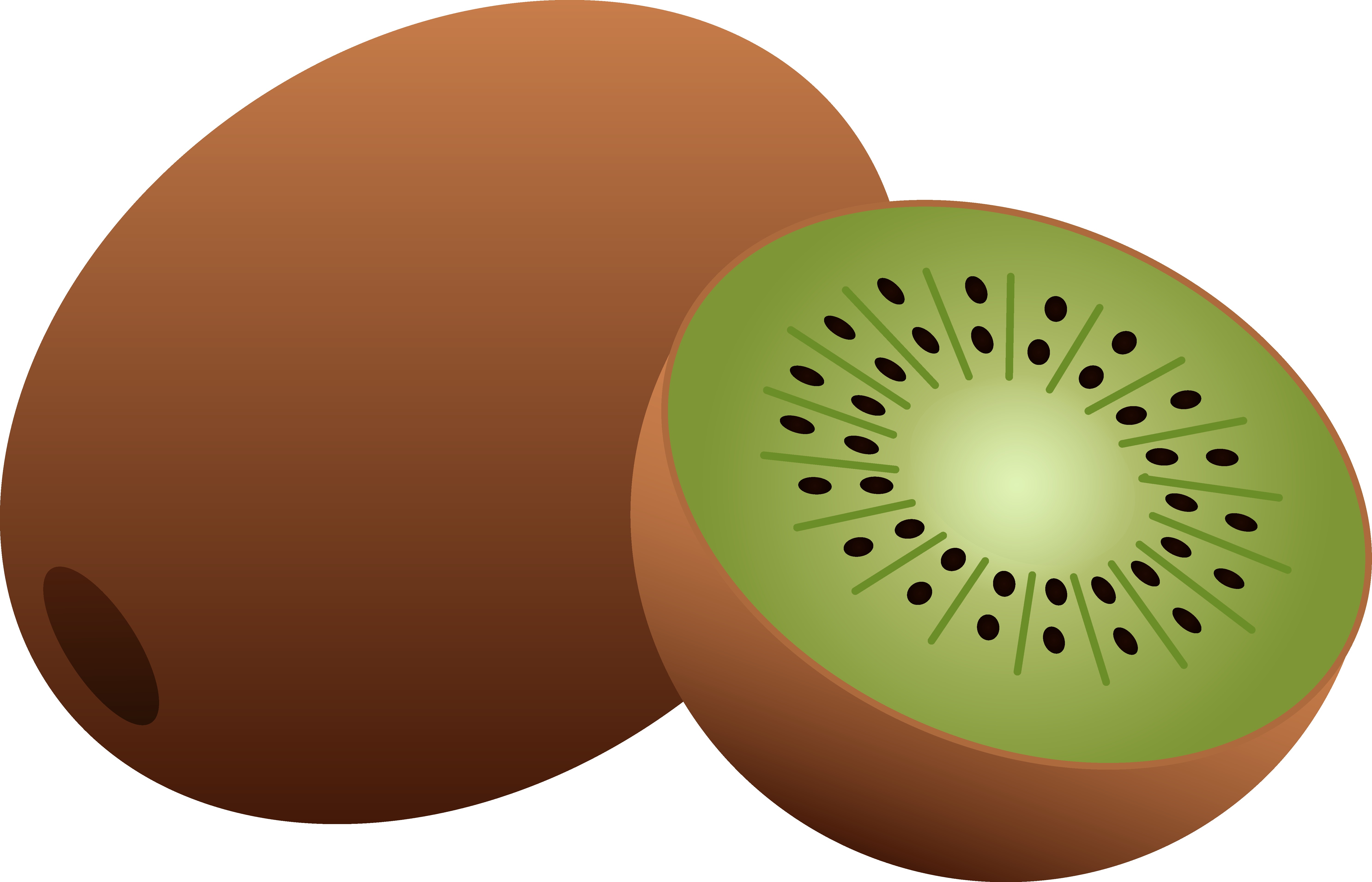 Detail Clipart Kiwi Nomer 5
