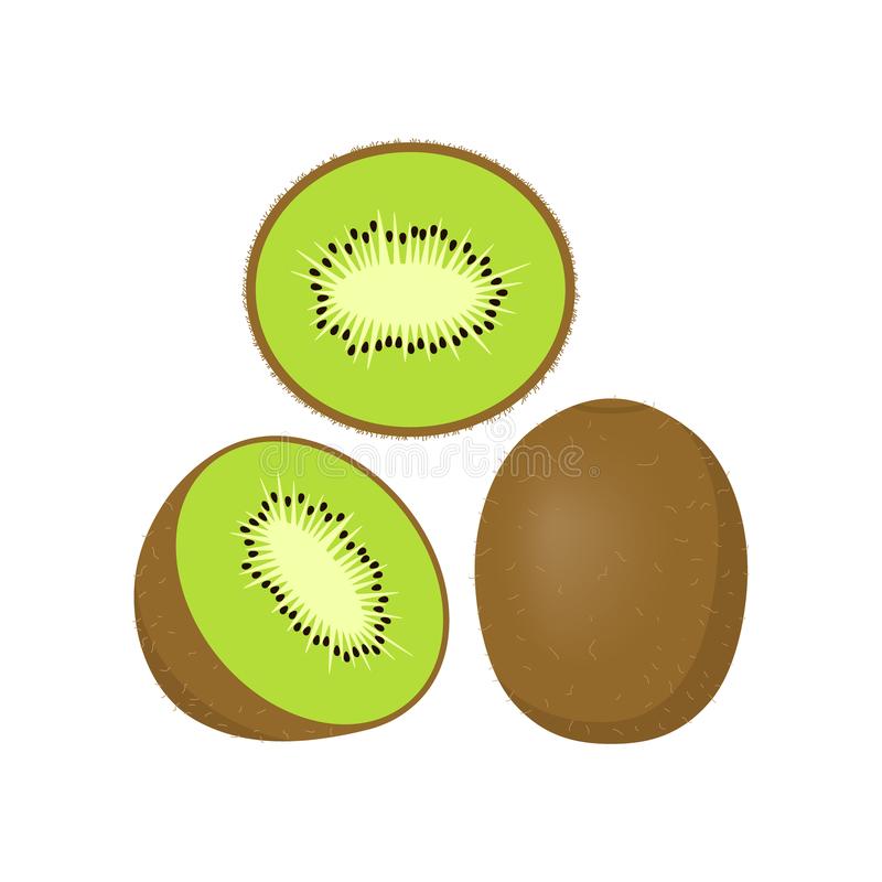Detail Clipart Kiwi Nomer 6
