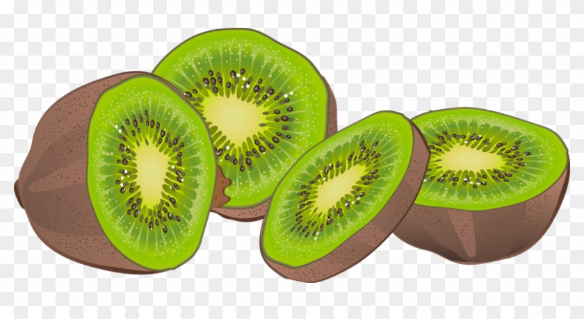 Detail Clipart Kiwi Nomer 8