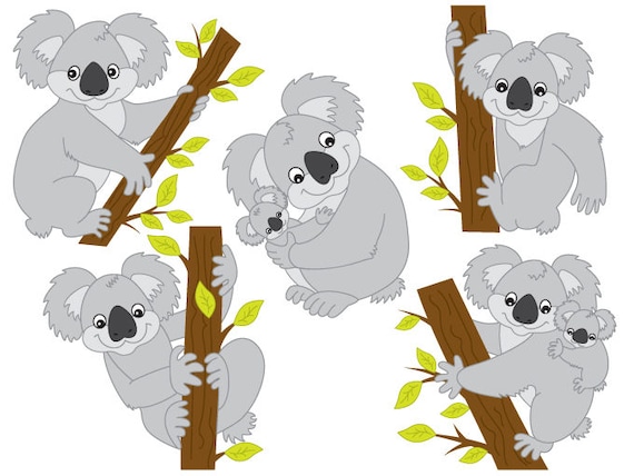 Detail Clipart Koala Nomer 48