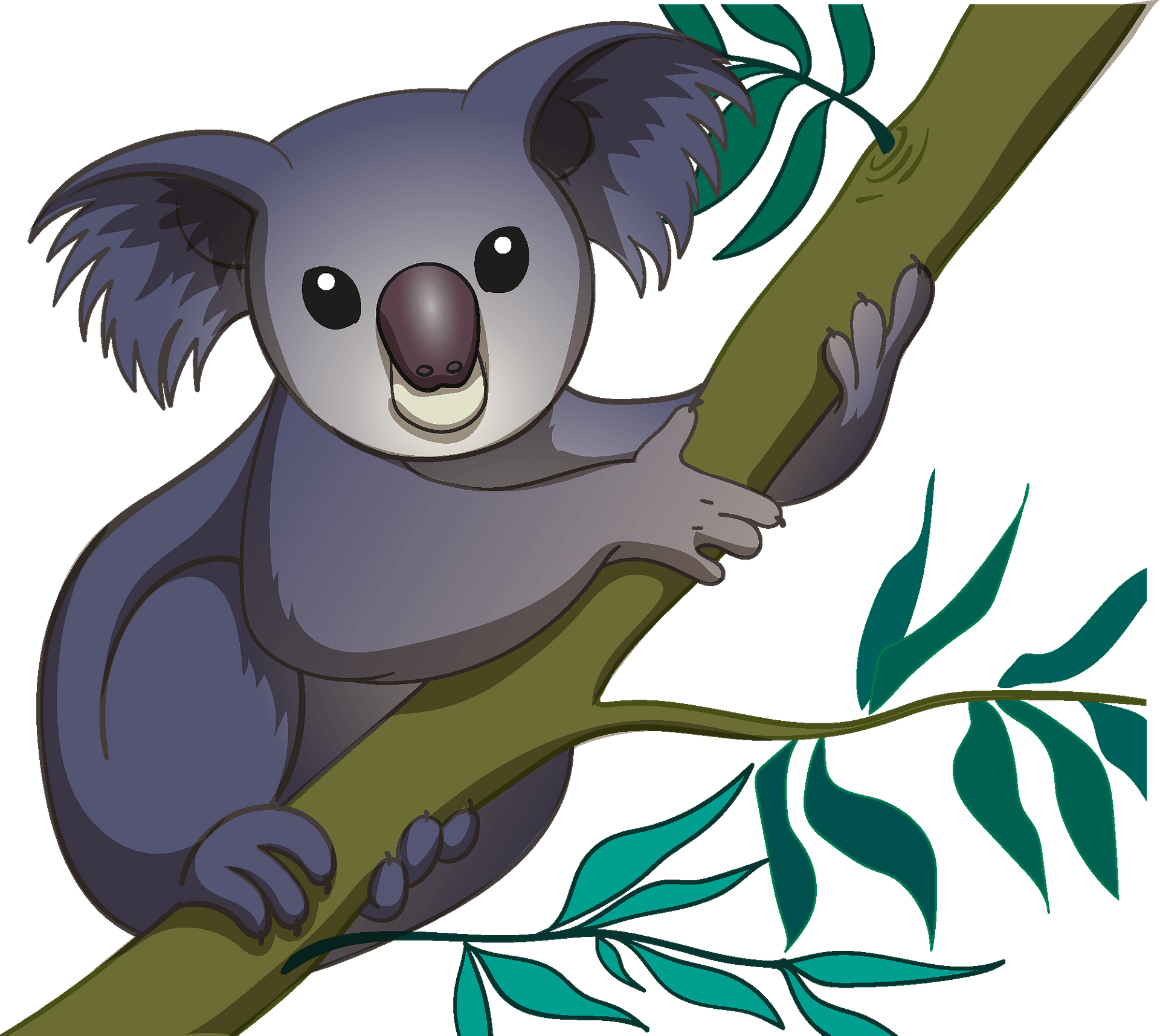 Detail Clipart Koala Nomer 51