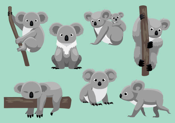 Detail Clipart Koalas Nomer 53