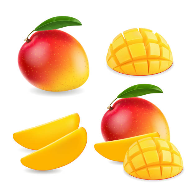 Detail Clipart Mango Nomer 31