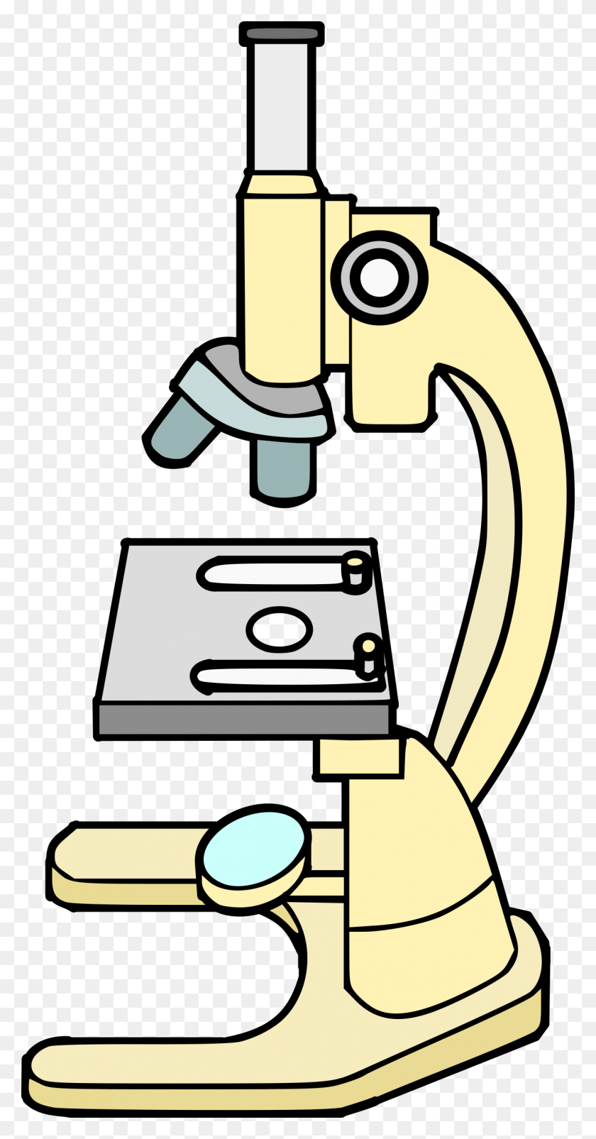 Detail Clipart Microscope Nomer 15