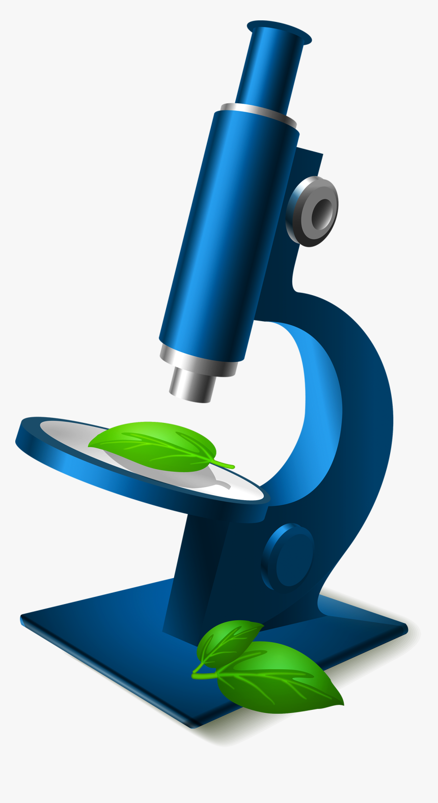 Detail Clipart Microscope Nomer 31