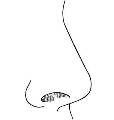 Detail Clipart Nose Nomer 36