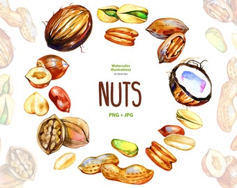 Detail Clipart Nuts Nomer 28