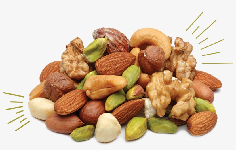 Detail Clipart Nuts Nomer 39