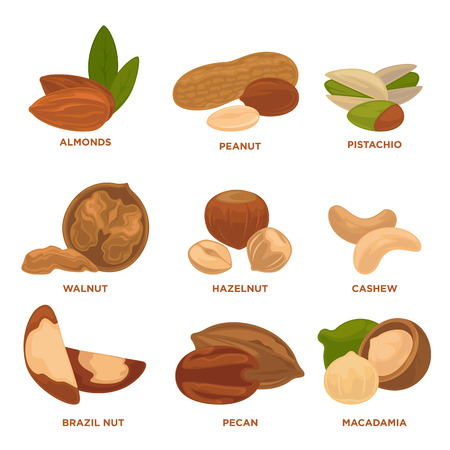 Detail Clipart Nuts Nomer 42