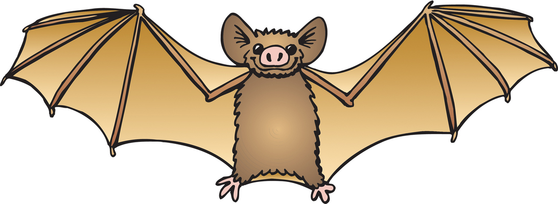 Detail Clipart Of A Bat Nomer 21