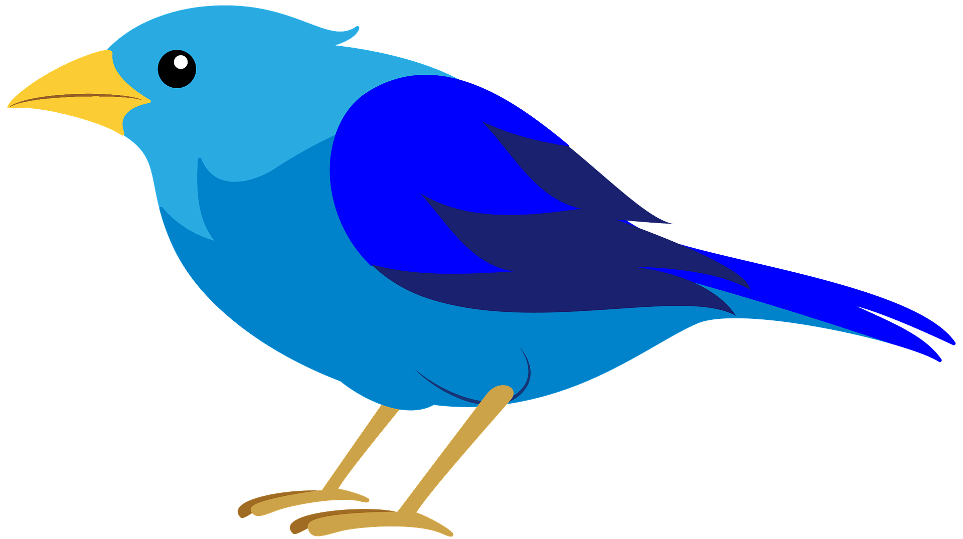 Detail Clipart Of A Bird Nomer 11