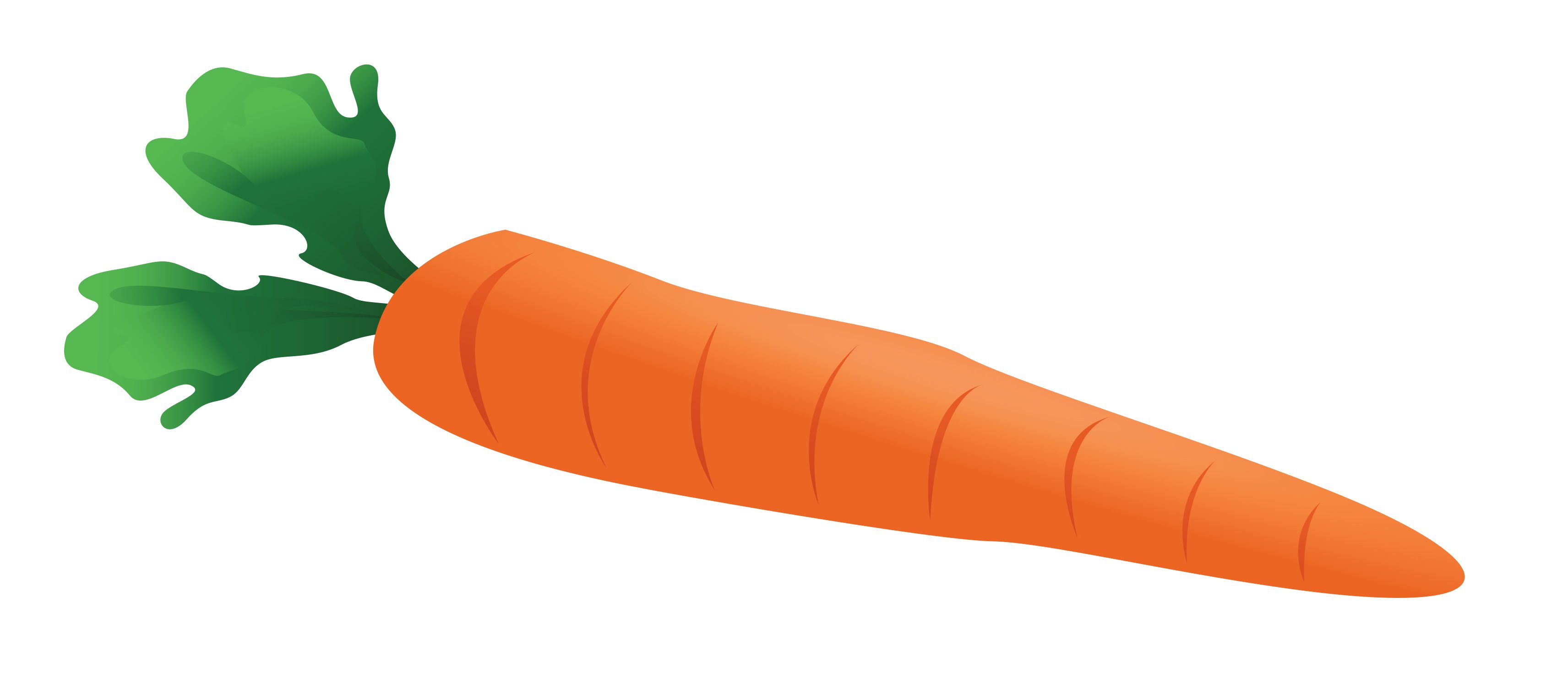 Detail Clipart Of A Carrot Nomer 19