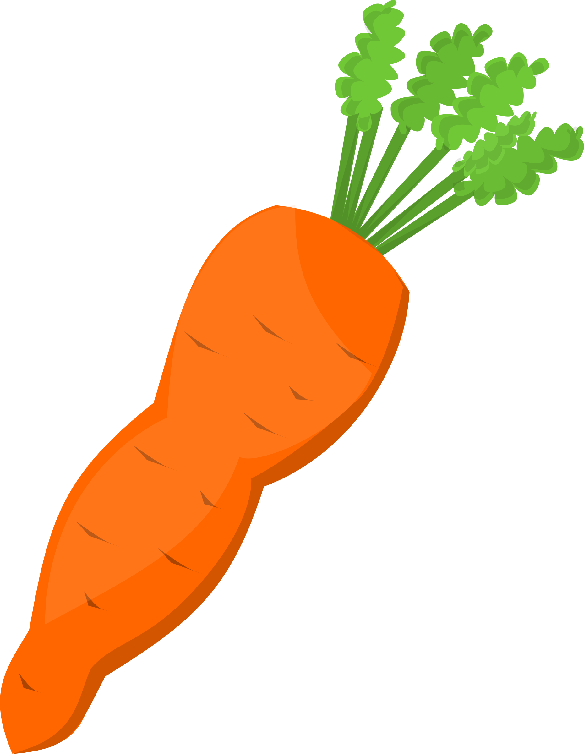 Detail Clipart Of A Carrot Nomer 21