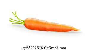 Detail Clipart Of A Carrot Nomer 30
