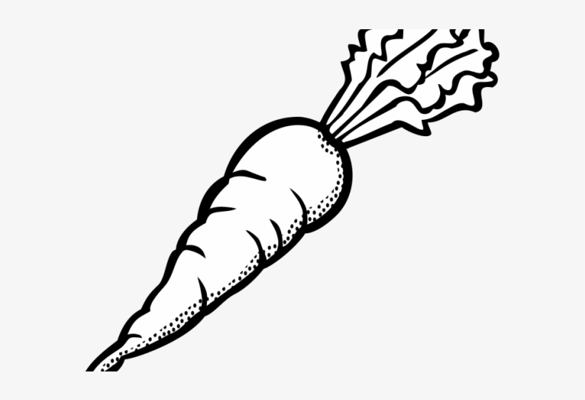 Detail Clipart Of A Carrot Nomer 31