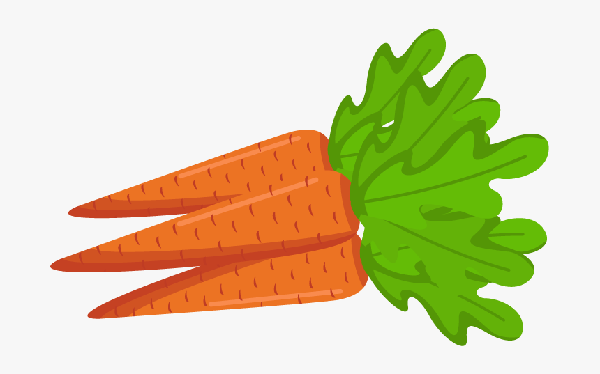 Detail Clipart Of A Carrot Nomer 43