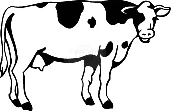 Detail Clipart Of A Cow Nomer 35