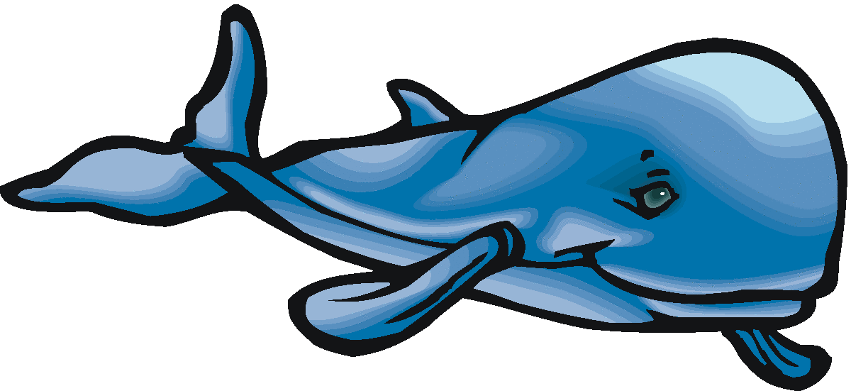 Detail Clipart Of A Whale Nomer 27