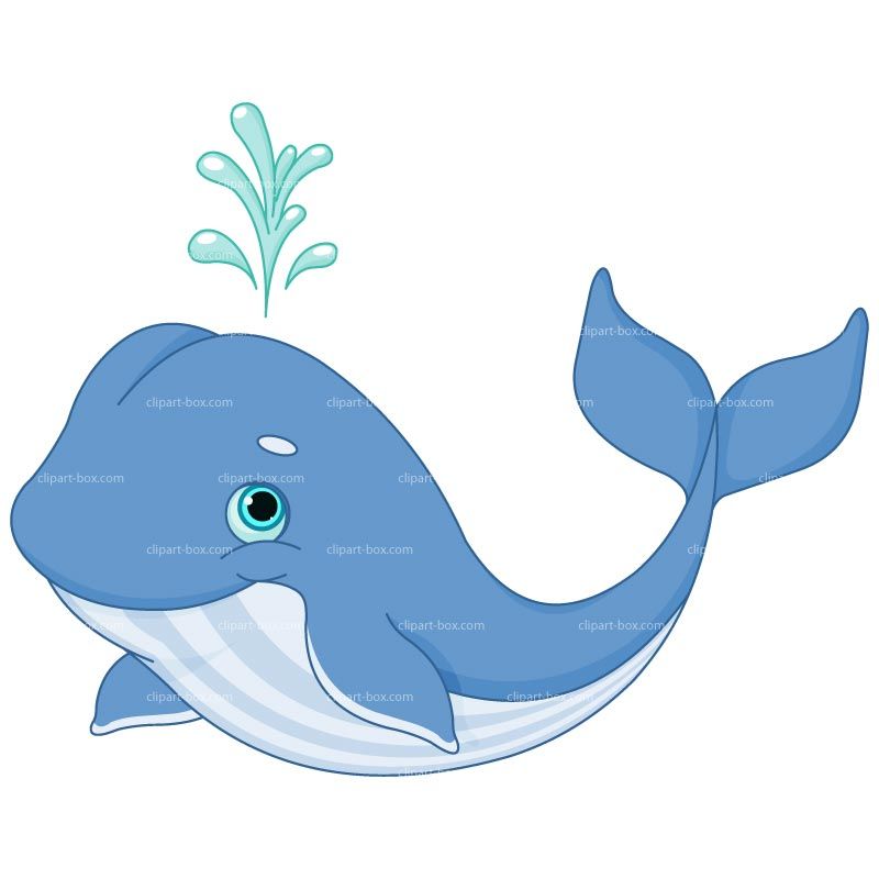Detail Clipart Of A Whale Nomer 7