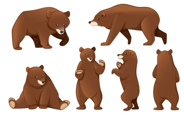 Detail Clipart Of Bears Nomer 12