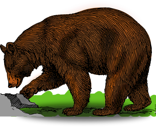 Detail Clipart Of Bears Nomer 48