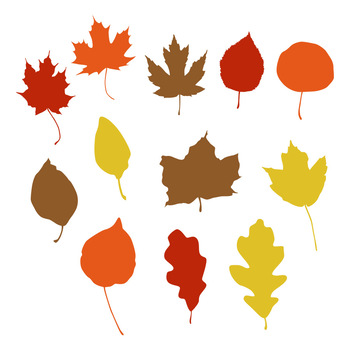Detail Clipart Of Fall Leaves Nomer 16