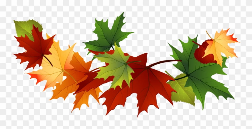 Detail Clipart Of Fall Leaves Nomer 20