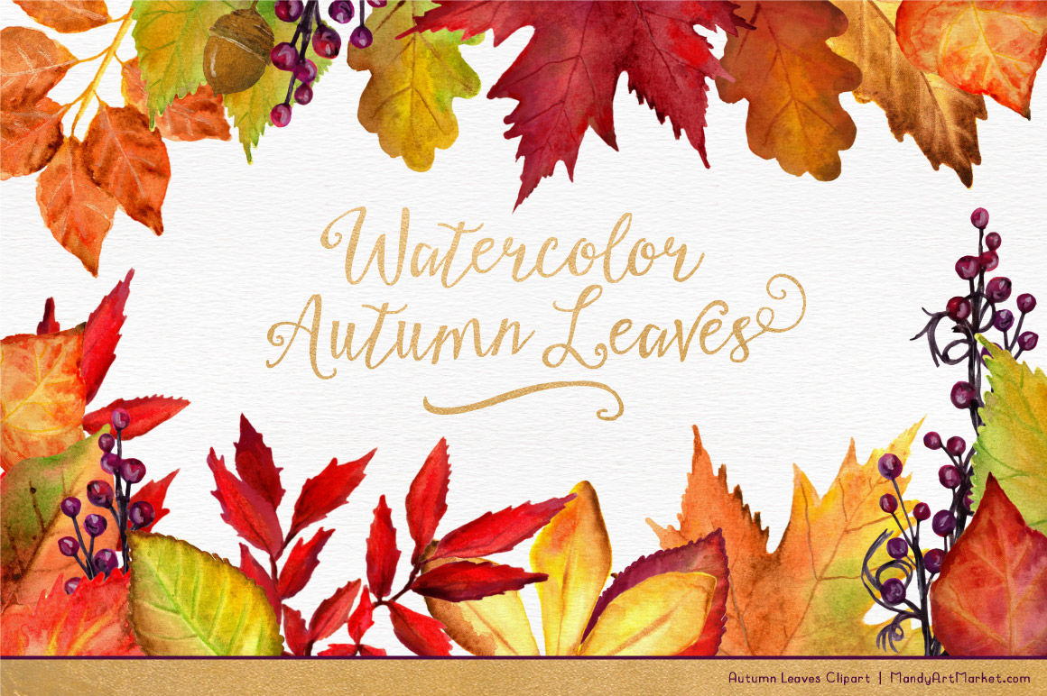 Detail Clipart Of Fall Leaves Nomer 53
