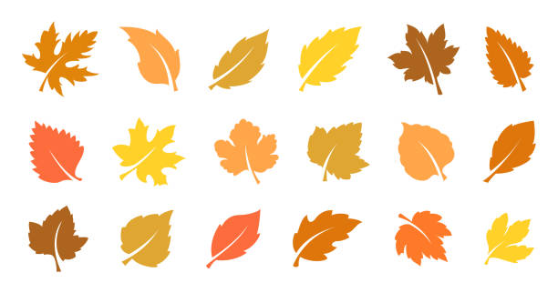 Detail Clipart Of Fall Leaves Nomer 6