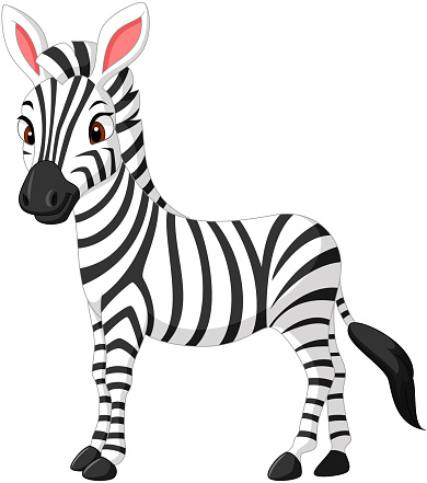 Detail Clipart Of Zebra Nomer 2