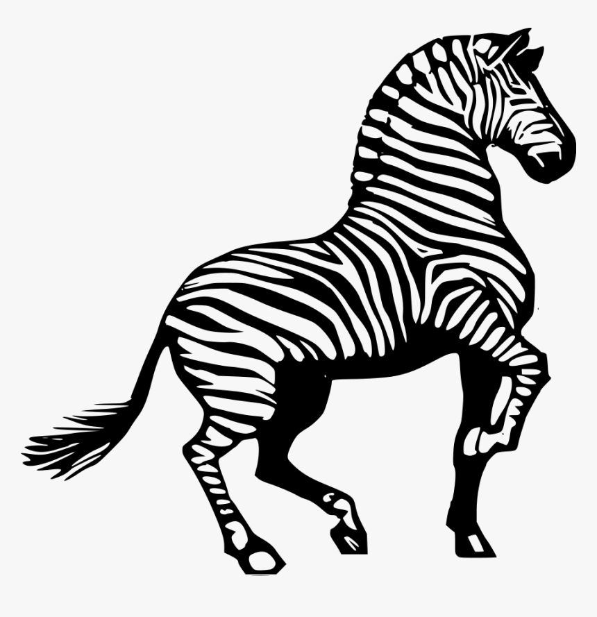 Detail Clipart Of Zebra Nomer 47