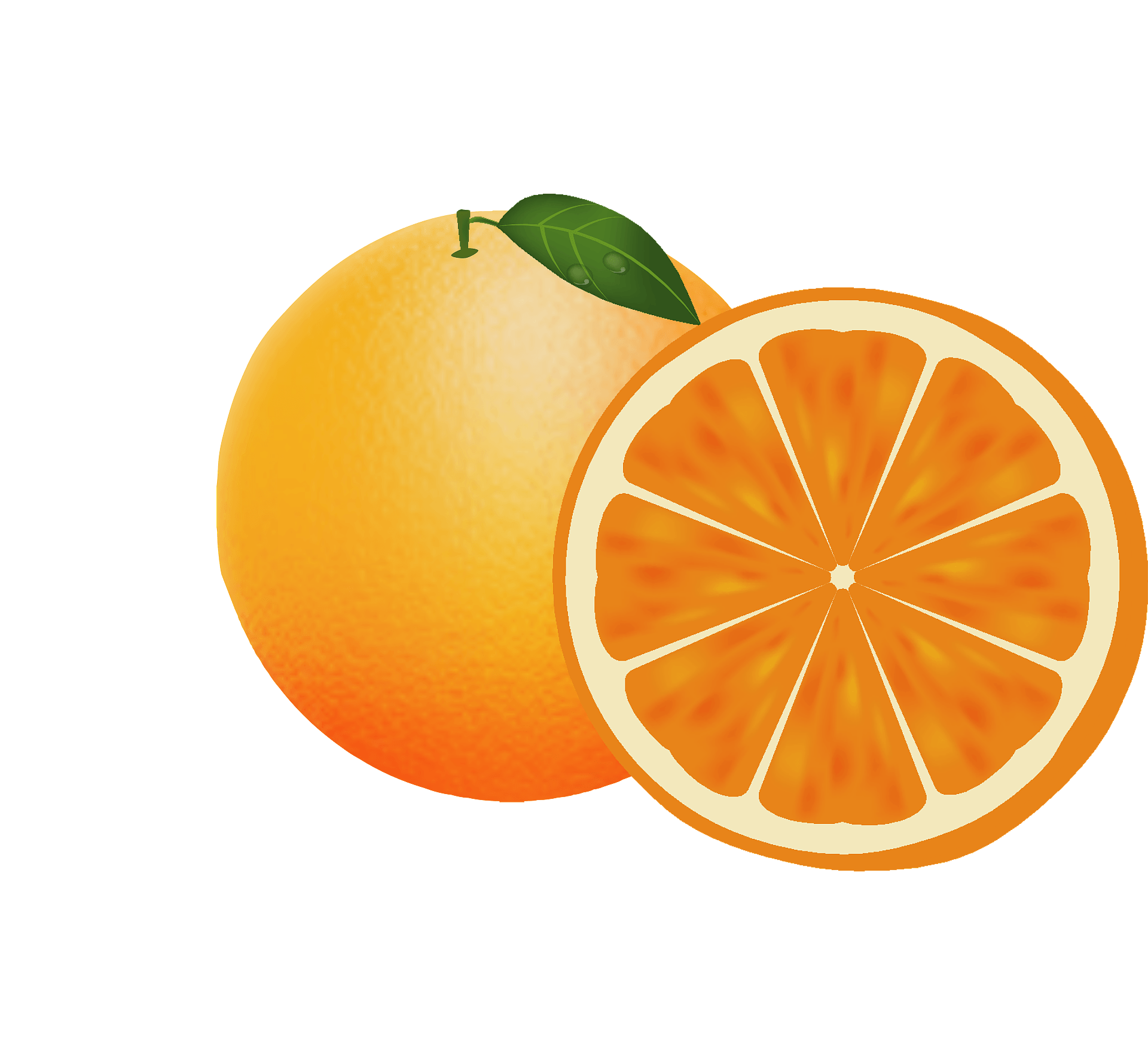 Detail Clipart Orange Nomer 27