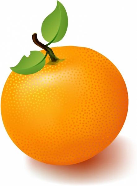 Detail Clipart Orange Nomer 8