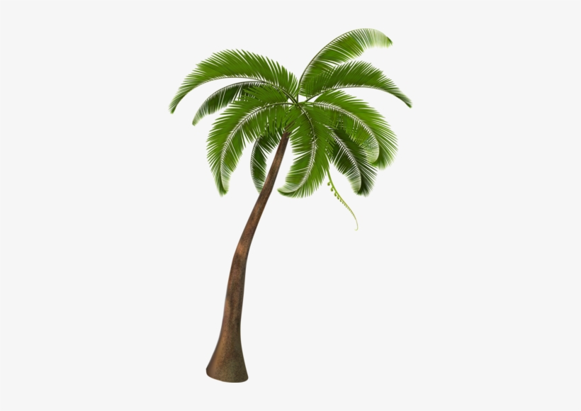 Detail Clipart Palm Trees Beach Nomer 51