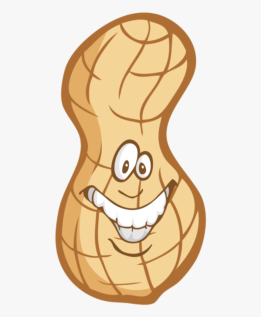 Detail Clipart Peanut Nomer 34