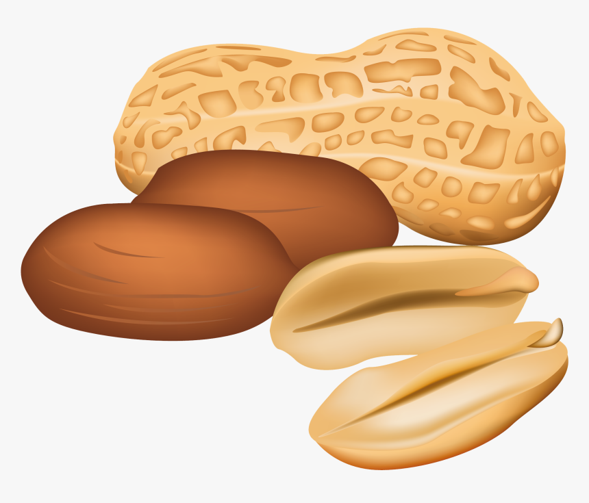 Detail Clipart Peanut Nomer 5