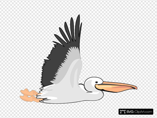 Detail Clipart Pelican Nomer 14