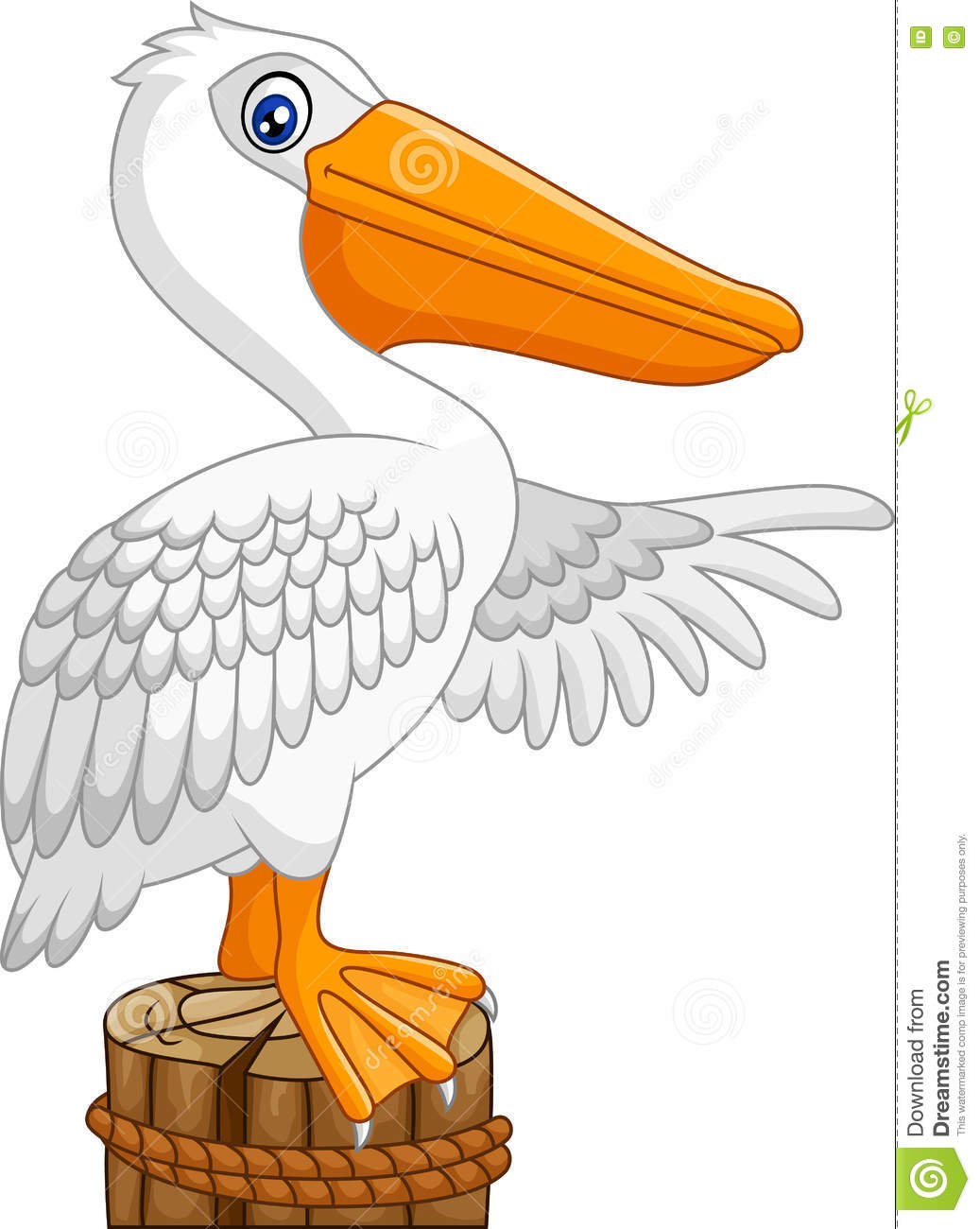 Detail Clipart Pelican Nomer 15