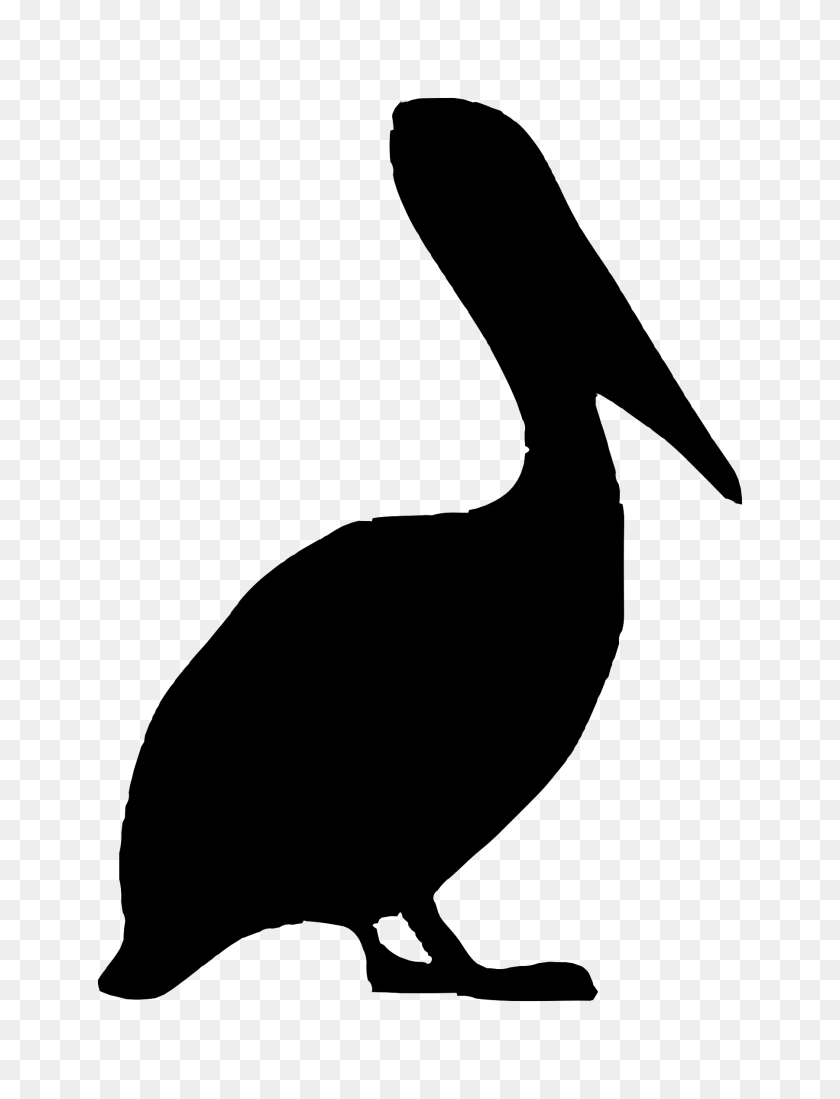 Download Clipart Pelican Nomer 25
