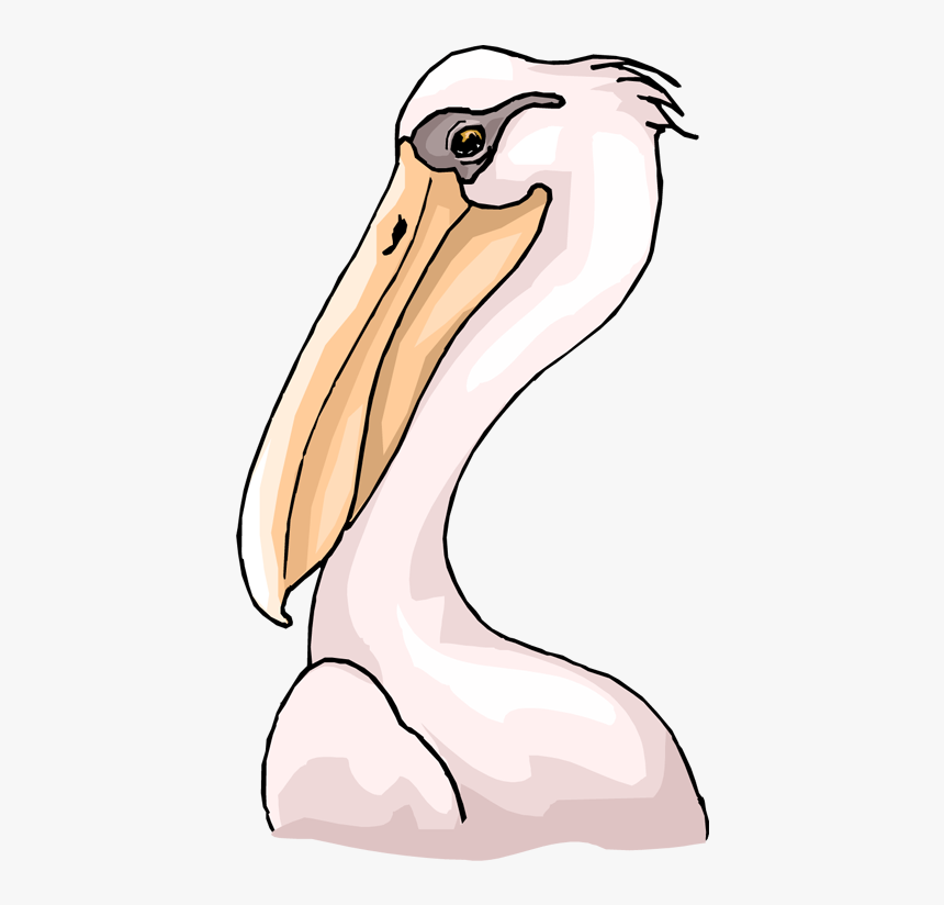 Download Clipart Pelican Nomer 45