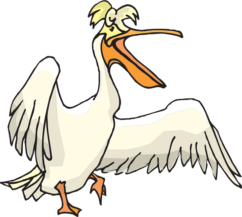 Detail Clipart Pelican Nomer 51
